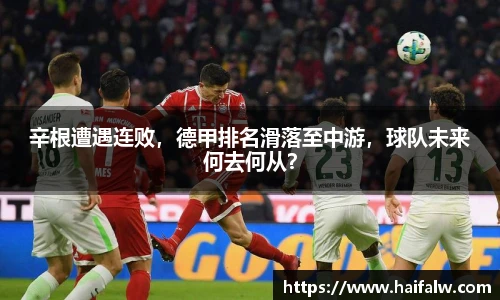 辛根遭遇连败，德甲排名滑落至中游，球队未来何去何从？